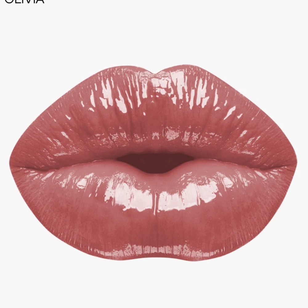 NWT Karity High Shine Lip Gloss Olivia (color is a nude rose).